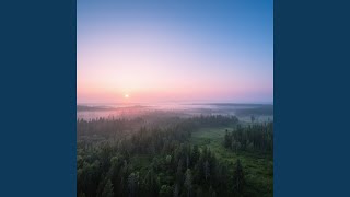 Wild Freedom At Dawn