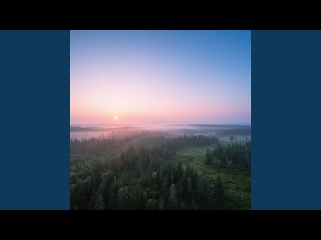 Wild Freedom At Dawn