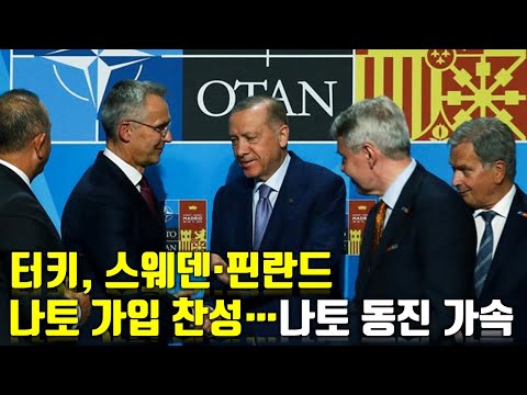 우크라이나 전쟁 전황 정리 125일차 - 터키, 스웨덴·핀란드 나토 가입 찬성...나토 <strong>동진</strong> 가속화_우크라이나 긴급속보325
