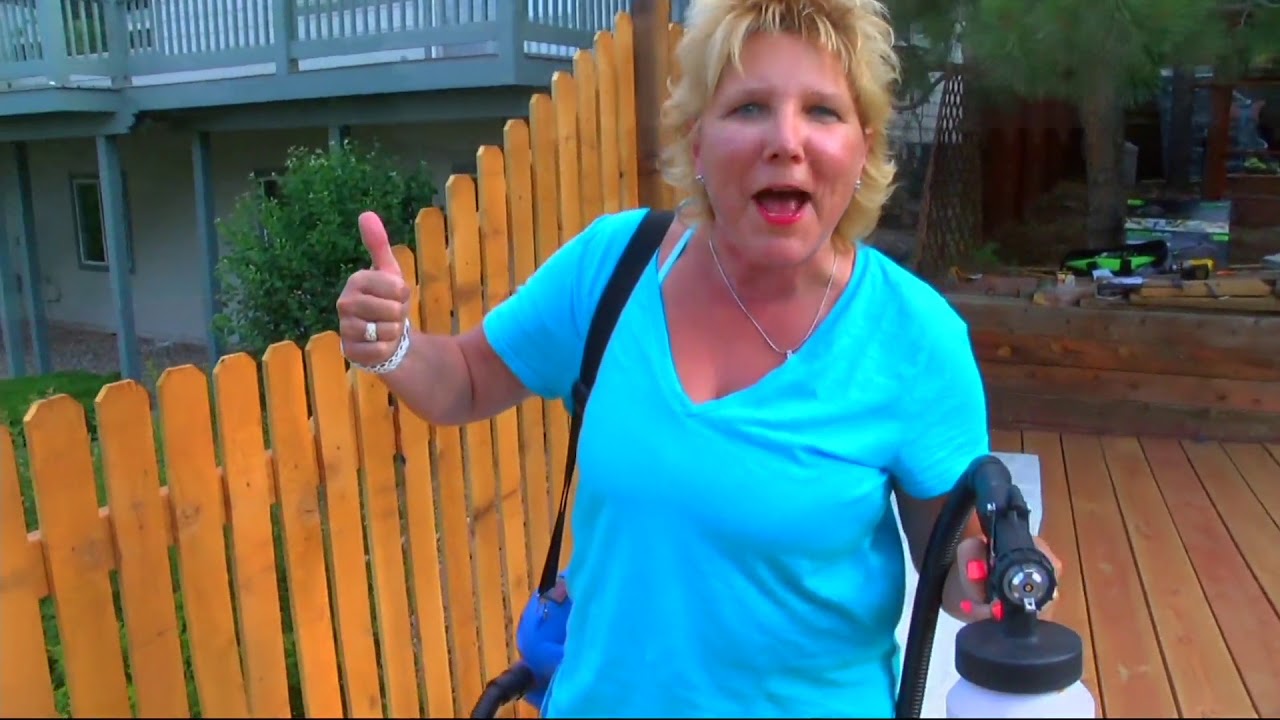 Paint Zoom Pro Paint Sprayer w/ 3 Paint Storage Containers on QVC