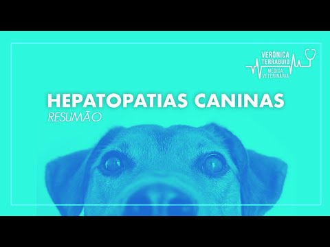 Videó: Vacuolar Hepatopathia Macskákban