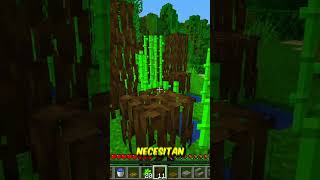 Frutas Podridas En Minecraft