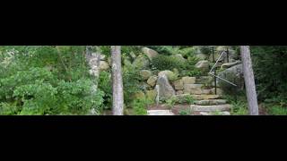 Lake Friendly Landscaping Workshop with Kat Kelleher of NH LAKES