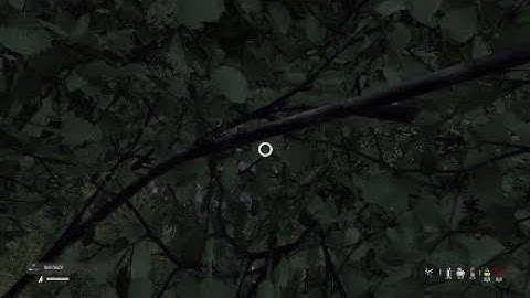 is this a new glitch  on DayZ console?