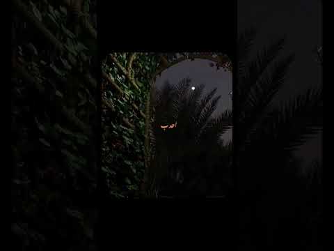 Beauty Of Prophet Muhammad Saw Molanatariqjameel Muftimenk Bayan Husn Beautiful Handsome Nabi