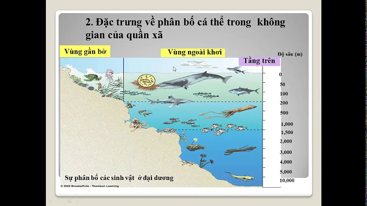 Quần xã sinh vật là gì cho ví dụ năm 2024