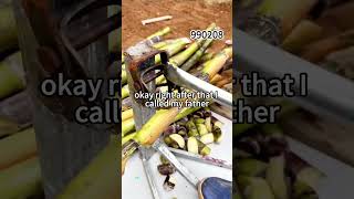 o4nq9990208_jr29
