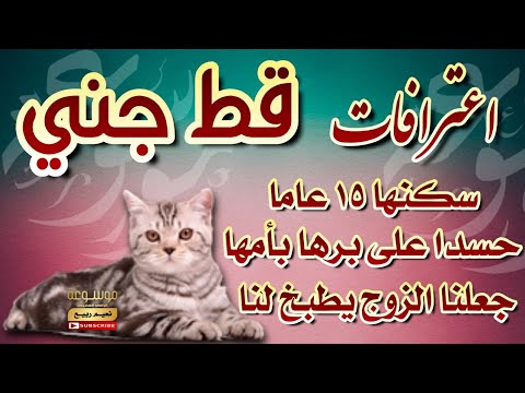 إعترافات قط جني شيطان حسد يقول أنا من تشكلت قط حقيقي وهربت الراقي المغربي نعيم ربيع