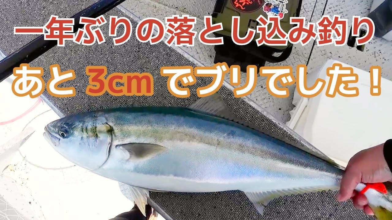 【落とし込み釣り】青物の潮ではなかったけど、ベイトのイワシの付きは良かった！  2025/8/5 淡路島 育波漁港 - くにうみ丸