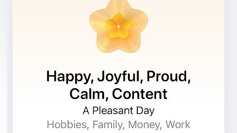 Logging your emotion/Mood in The Health App On Your Apple Device - State Of Mind