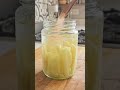 Papas Fritas fermentadas? puede fallar