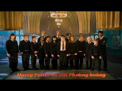 Video Luna Lovegood | Chương 10 | Harry Potter và Hội Phượng... - youtube