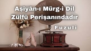 Aşiyan-I Mürg-I Dil Zülfü Perişanındadır Fuzulî Ezgi Su, Türk Sanat Müziği