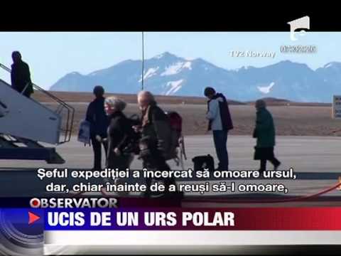 Video: De ce scade numărul de urși polari în Arctica?