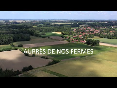 Vidéo: Monde Réel Farmville: Une Ferme Anglaise à La Recherche D'agriculteurs En Ligne - Réseau Matador