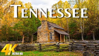 Tennessee (4K UHD) - Stunning Fall Foliage Cinematic Journey Through Scenic Tennessee