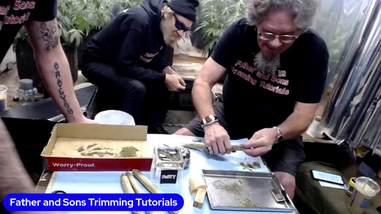 Happy New Years Eve/ Smoke sesh/ Mars HYdroFC3000