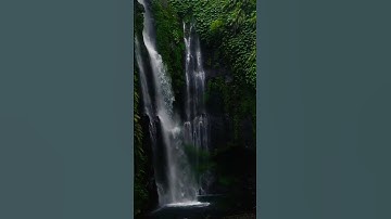 سورة غافر القارئ محمد صديق المنشاوي #explore #القرآن_الكريم #المنشاوي #محمد_صديق_المنشاوي #islam