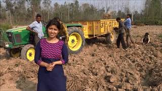 Success Story of Shri Dharmendra Sahay: A Herb Grower