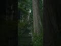 早朝の室生寺が神秘的すぎる