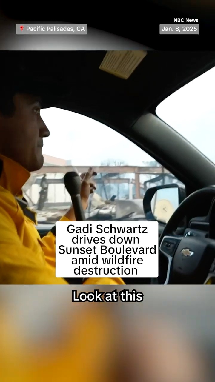 Gadi Schwartz drives down Sunset Boulevard amid wildfire destruction