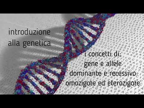 GENETICA (1° parte) : Introduzione alla genetica .