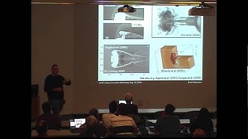 Brant Robertson : Hydrodynamical Coupling of Mass and Momentum to Galactic Outflows