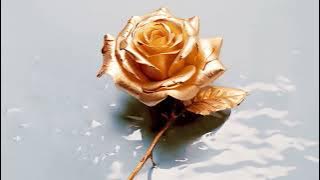 Tina Cousins, Sunset Bros - Wonderful Life