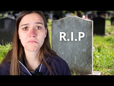 My cat suddenly passed away - Daily Advanced - My cat suddenly passed away - Daily Advanced