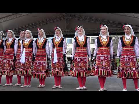 ДФА 'Габровче'