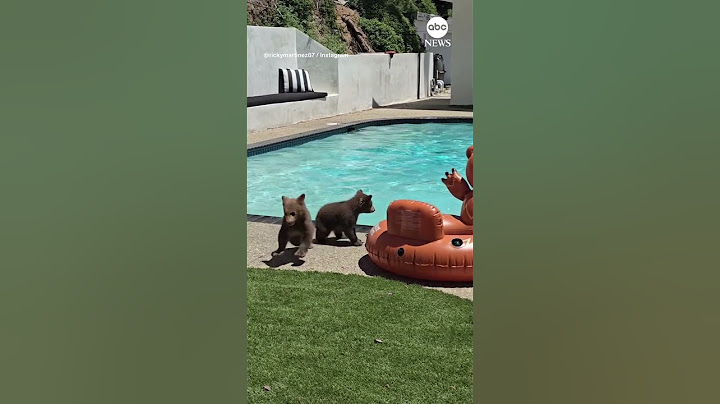 Mama bear and cubs take a swim in California pool