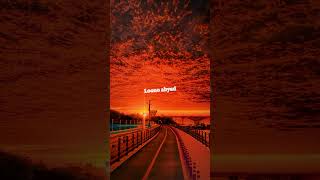 hadal ahbek issam alnajjar #shorts #music #lyrics #shortsvideo
