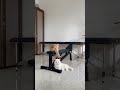 Leo và Lucy là đôi bạn tri kỷ #leo #lucy #triky #cat #love