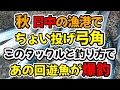 秋の漁港、日中のお昼過ぎからちょい投げ弓角、このタックルと釣り方であの回遊魚が爆釣