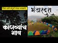 काजव्यांनी रात्री चमकणारं भंडारदऱ्याच जंगल | Bhandardara fireflies festival
