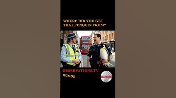 Where did you get that penguin from? • Observations.tv - (685)