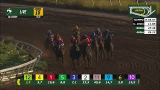 Vidéo de la course PMU PRIX CACHORRITO