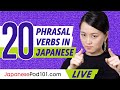20 High-Frequency Phrasal Verbs in Japanese