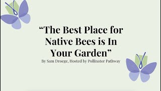 The Best Place for Native Bees is in Your Garden!