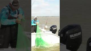 We Got Bait!!!! #shorts #viralvideo #fishing