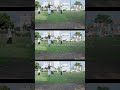 She Side Ship「ライク・ア・ラブ」 #shorts