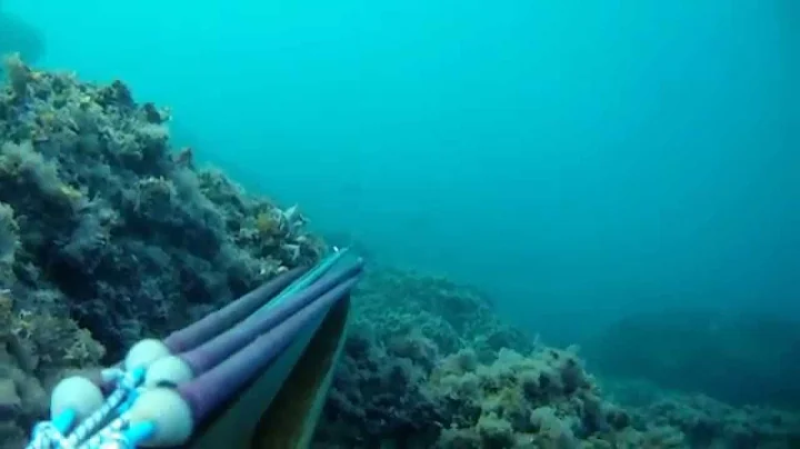 Pesca sub : vincenzo piscitelli arbapro neptune 90