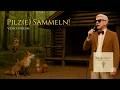 Pils(e) sammeln im Wald – Hicks, ein Hoch auf die HeilpilSe! (Volksmusik)