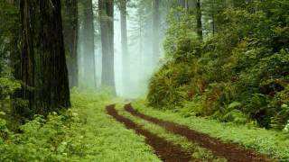 20100314.tksg(11).wmv