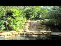 'AMAZON' by EARL KLUGH.wmv