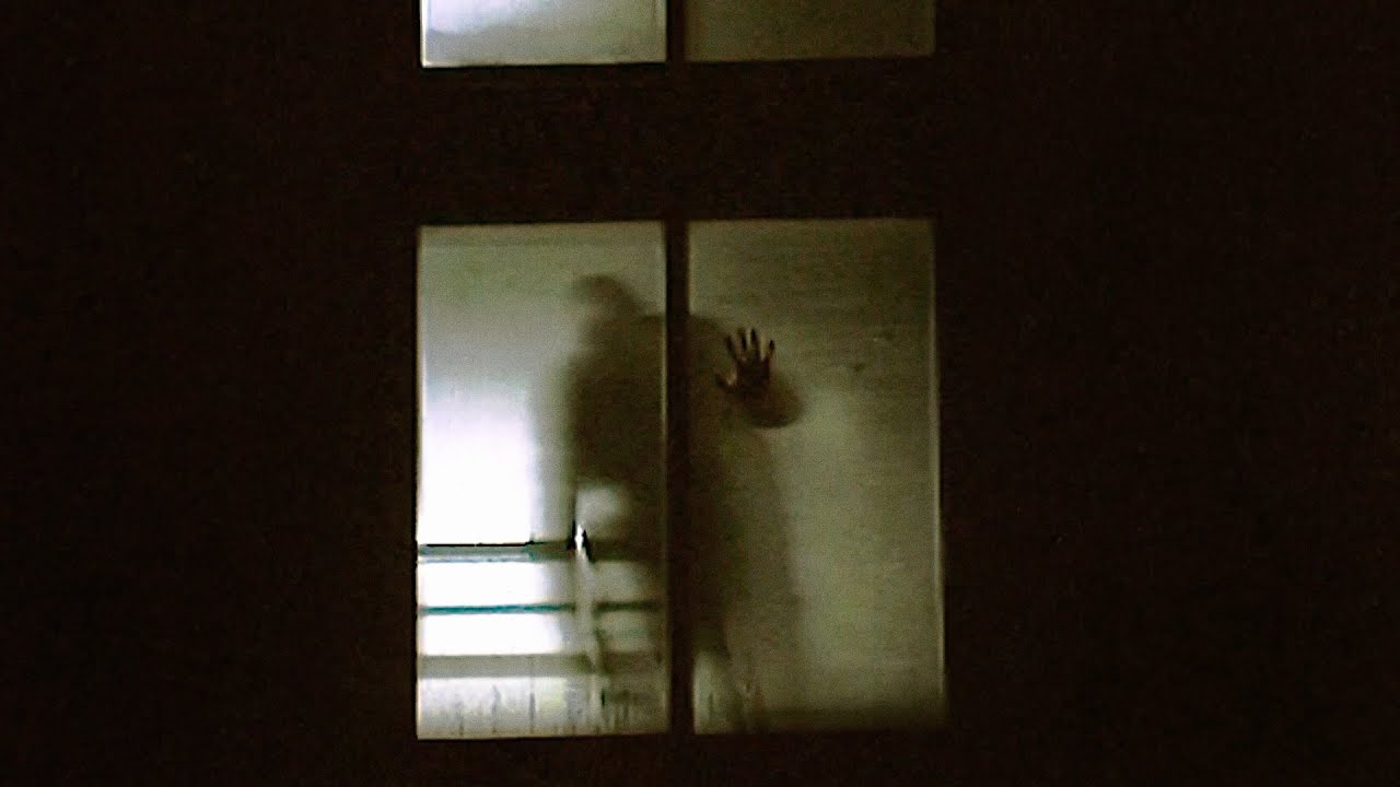 william crooks & ache - CAVIAR (Official video)