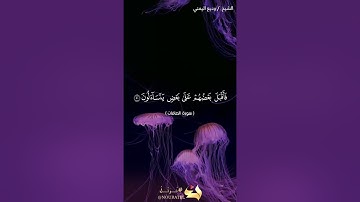 الآية 50 الى الآية 61 سورة الصافات الشيخ وديع اليمني
