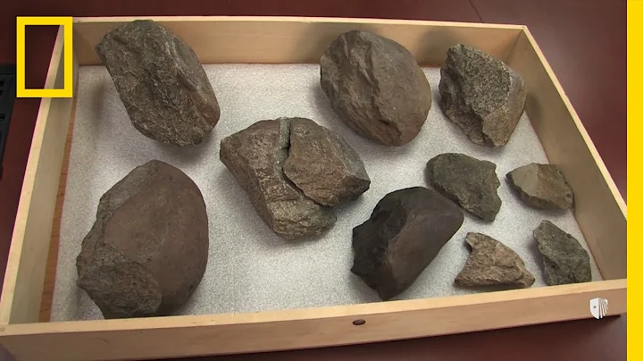 Oldest Known Stone Tools Discovered: 3.3 Million Y...