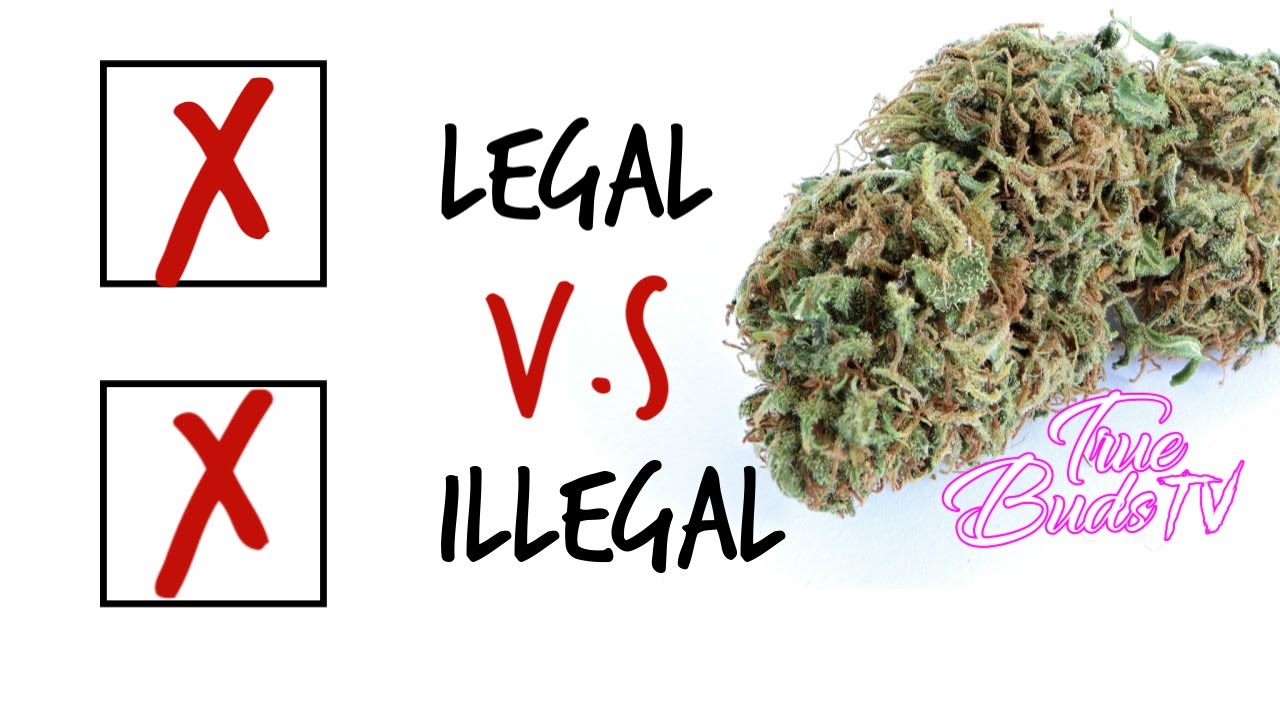 Legal Weed VS Illegal Weed Pros and Cons