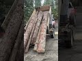 testing out our homemade dump trailer